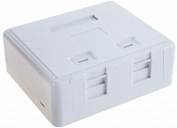 VLG Коробка для настенного монтажа на 2 модуля Keystone (WMB-RJ45-2P)